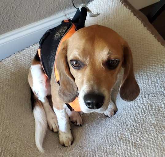 Photo of Bently