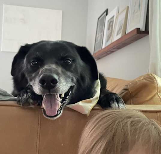 Photo of Duke