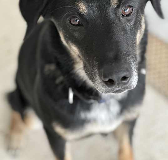 Photo of Cash