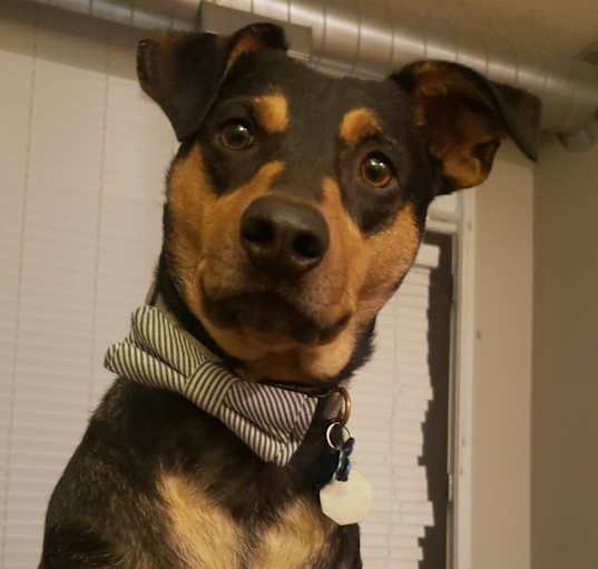 Photo of Ezra