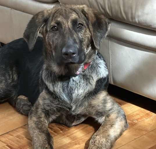 Photo of Buster