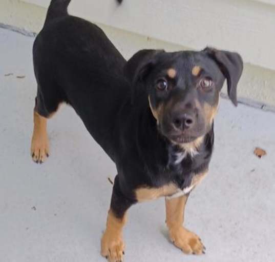 Photo of Emmy
