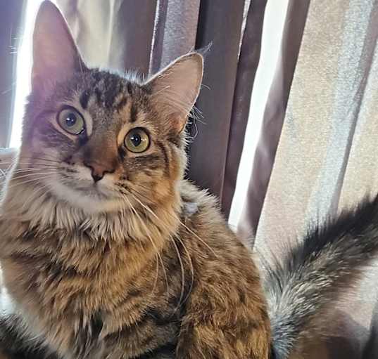 Photo of Daisey-Mae