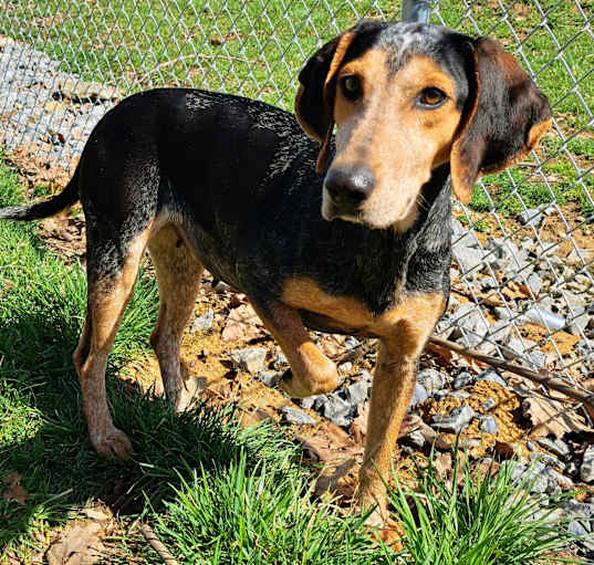 Photo of Delilah