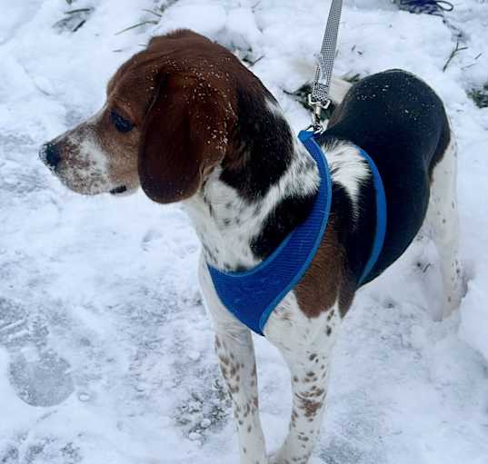 Photo of Moxie