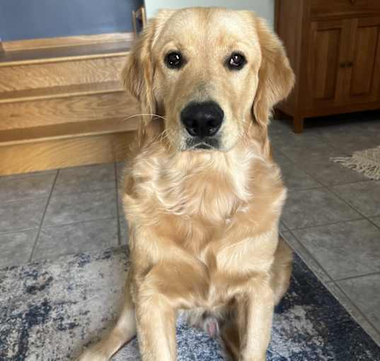 Photo of Dunkin