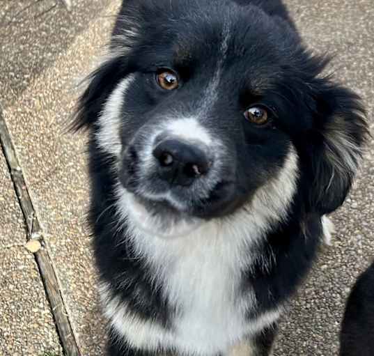Photo of JETT