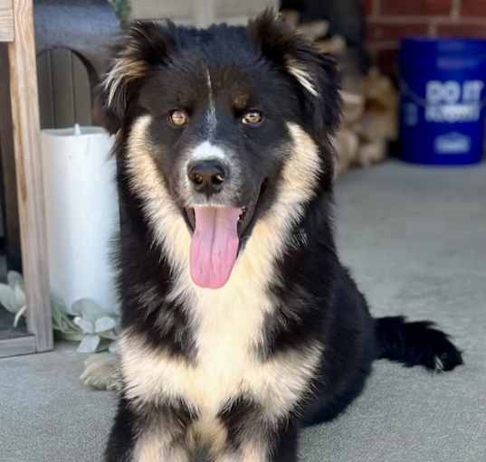 Photo of JETT