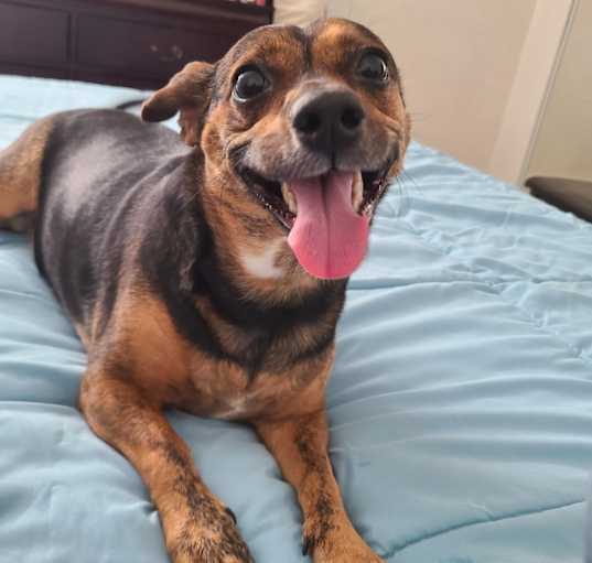 Photo of Cali