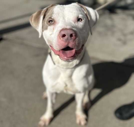 Photo of Stan