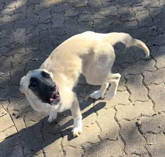 Photo of Buffy