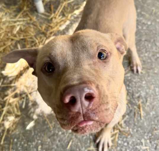 Photo of Atlas