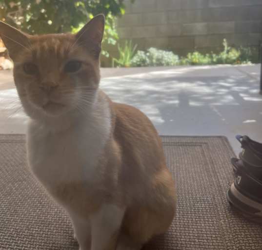 Photo of Freddy