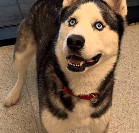 Photo of Reggie