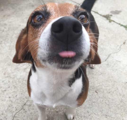 Photo of Jack