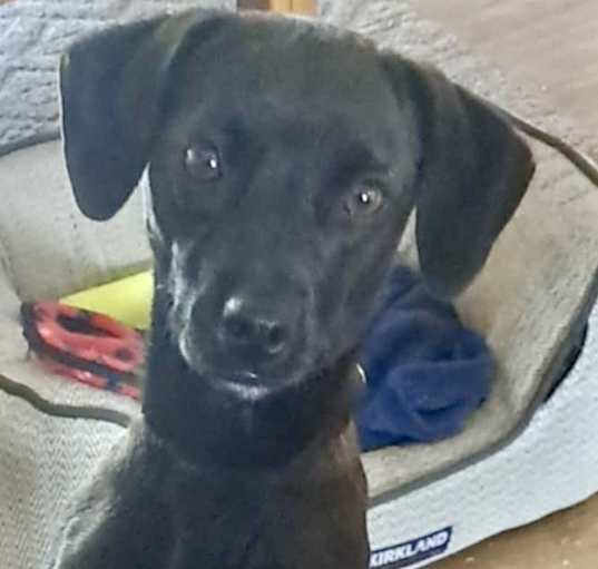 Photo of MS LEIA
