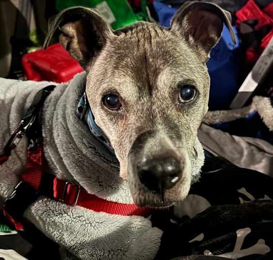 Photo of Edgar