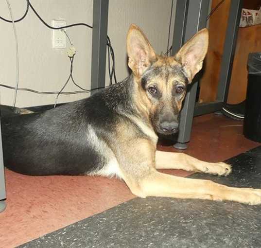 Photo of HEIDI