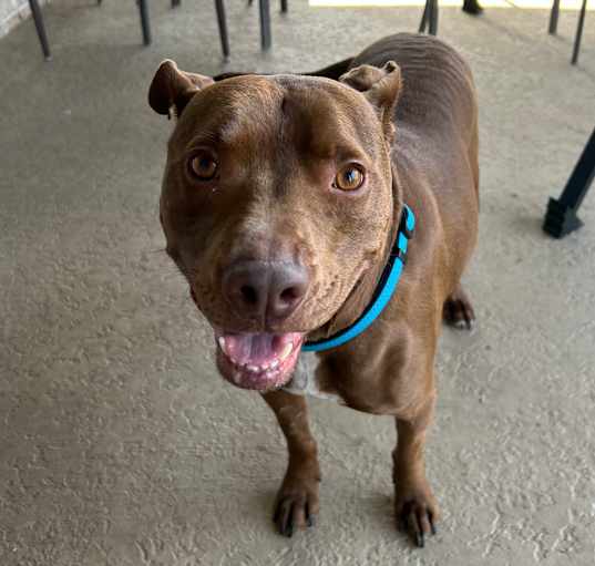 Photo of Jax