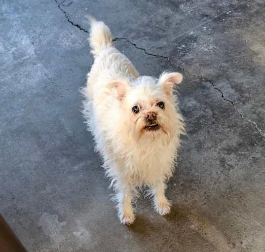 Photo of Bianca