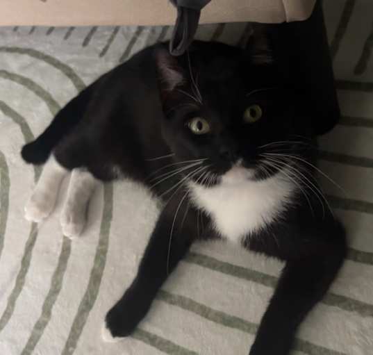 Photo of Eddy