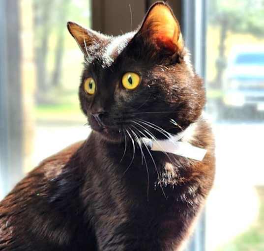Photo of 46316 - Calvin