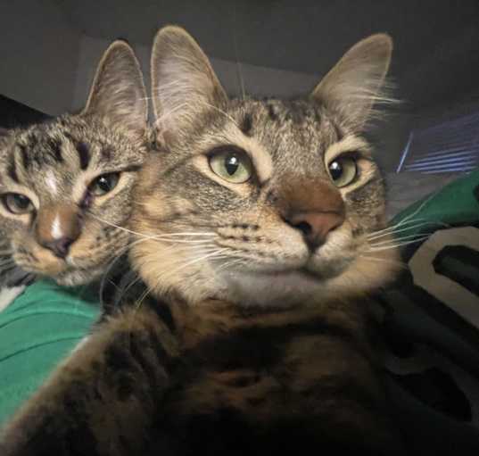 Photo of Bo & Bruno