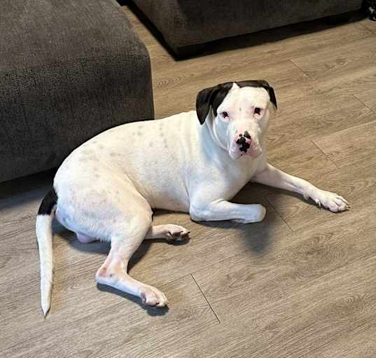 Photo of Zeus