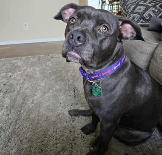 Photo of Sage