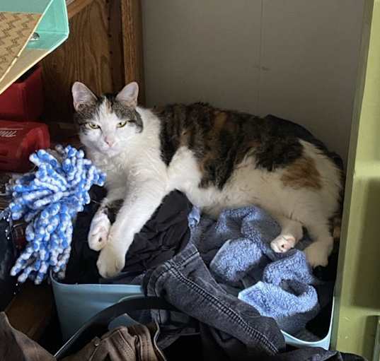 Photo of Kiki
