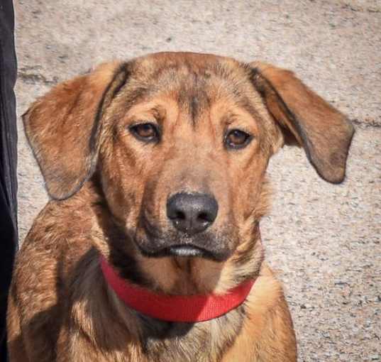 Photo of Archer