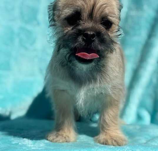 Photo of Mike