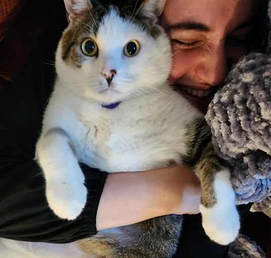 Photo of Clyde