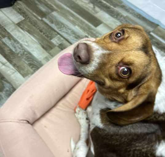 Photo of Missy