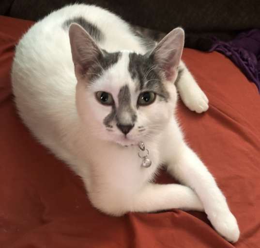 Photo of Echo
