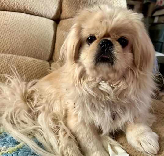 Photo of Thor