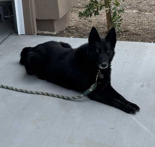 Photo of Vader