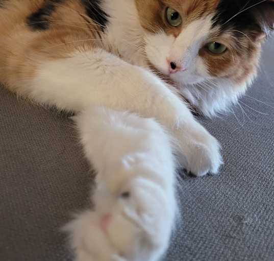 Photo of Lilith