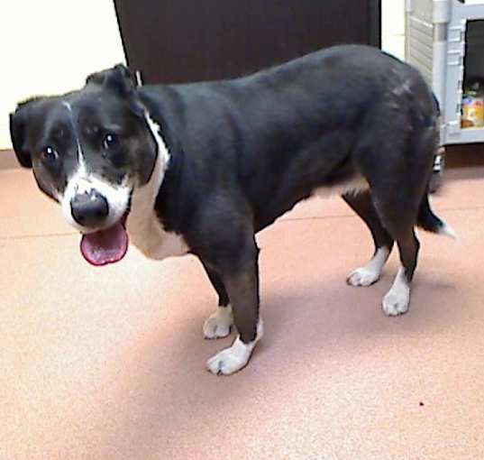 Photo of SPOT