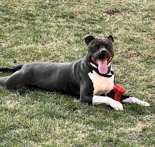 Photo of Abby
