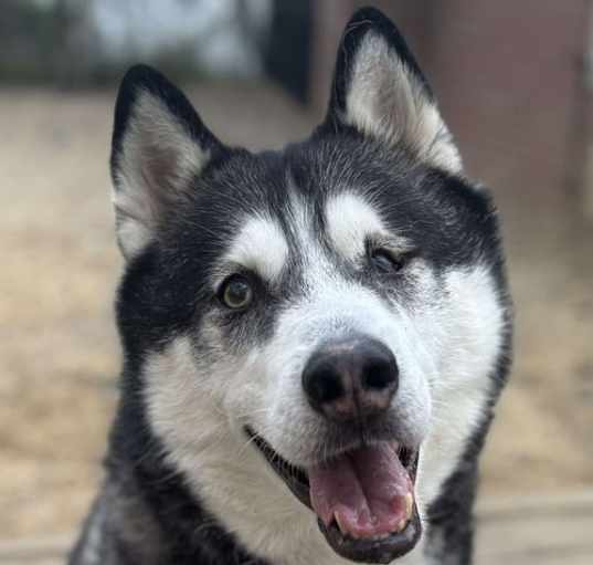 Photo of Larz