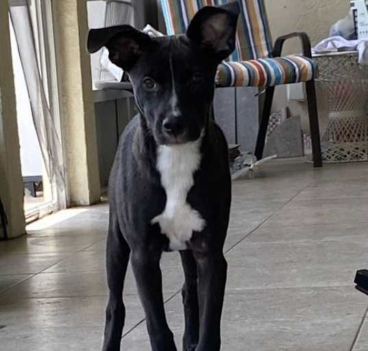 Photo of Tuck