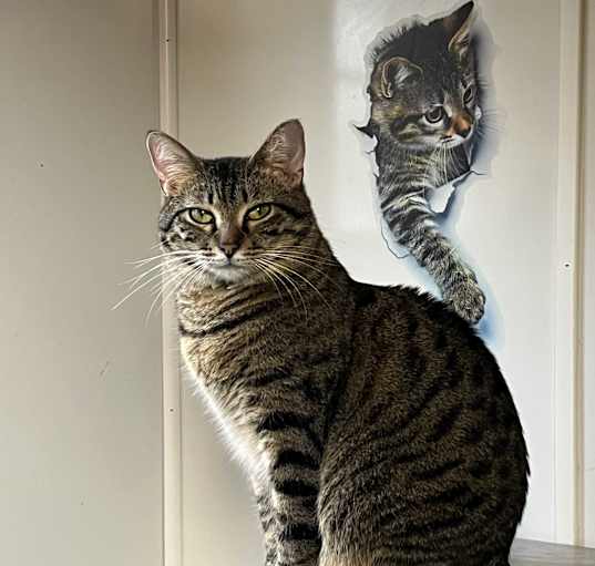 Photo of Bobbi