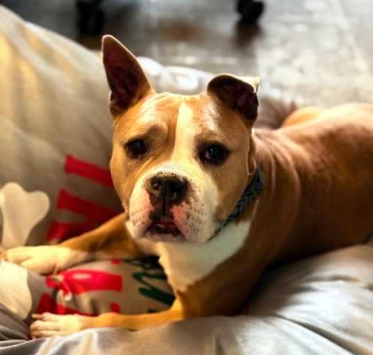 Photo of Turbo