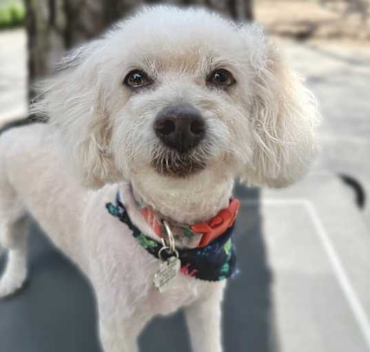 Photo of Wendy