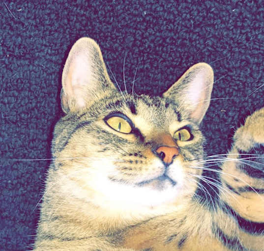 Photo of Quincy