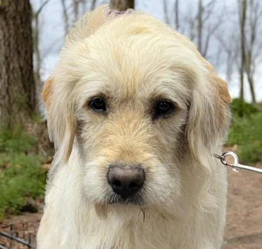 Photo of Doobie