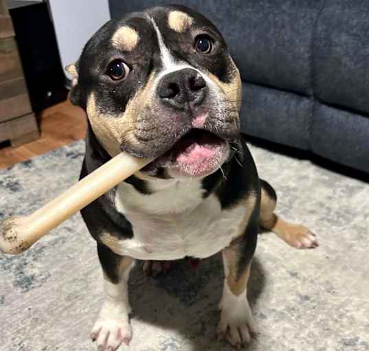 Photo of OTIS