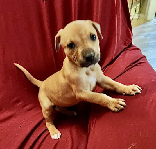Photo of Penelope