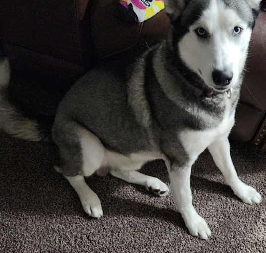 Photo of Omega